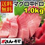 ショッピングお年賀 ミナミマグロ中トロ1.0kg(250g×4)　送料無料 刺身 まぐろ 南鮪 中トロ 赤身 ギフト 贈り物 がってん寿司 年末年始 お正月 お年賀 御年賀