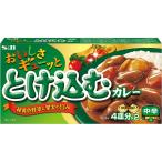 おいしさギューッととけ込むカレー 中辛140g S&B SB エスビー食品