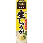 おろし生しょうが 40g S&B SB エスビー食品