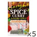 CRAFT STYLE スパイスカレー 43.6g×5個 手作りカレー カレールウ エスニック 簡単 エスビー食品公式
