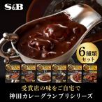 神田カレーグランプリ レトルトカレー 6種類セット エスビー食品公式