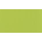  палатка навес ткань Tey Gin New Pasty новый pa стойка 8941FP bamboo ( cut распродажа )