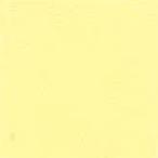  палатка навес ткань TEIJIN Shagarl Tey Gin автомобиль девушка EC13 крем желтый ( cut распродажа )