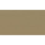  палатка навес ткань TEIJIN Shagarl Tey Gin автомобиль девушка EC14 Cafe *o*re(.. распродажа )