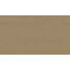  палатка навес ткань TEIJIN Shagarl Tey Gin автомобиль девушка EC14 Cafe *o*re( cut распродажа )