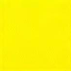  палатка навес ткань TEIJIN Shagarl Tey Gin автомобиль девушка EC16 шафран желтый ( cut распродажа )