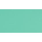  палатка навес ткань TEIJIN Shagarl Tey Gin автомобиль девушка EC35 mint green (.. распродажа )