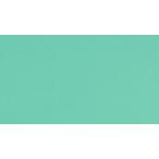  палатка навес ткань TEIJIN Shagarl Tey Gin автомобиль девушка EC35 mint green ( cut распродажа )