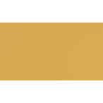  палатка навес ткань TEIJIN Shagarl Tey Gin автомобиль девушка EC36 Marie Gold ( cut распродажа )