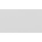  палатка навес ткань не . материал Tey Gin Strike Strike BS27 silver gray (.. распродажа )