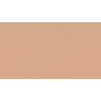  палатка навес ткань Teijin TogetherII Tey Gin tugya The -II TSA13 бежевый (.. распродажа ).. усиленный модель 