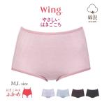 ウイング ショーツ 綿混 ノーマル ふかめ 深ばき カジュアル ボーダー フィット感  ストレッチ 吸放湿性 デイリーショーツ M L