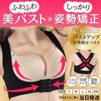 猫背矯正ベルト 姿勢矯正ベルト 猫背矯正下着  猫背を治す方法 バストアップブラ ベルト 女性