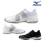  Mizuno MIZUNO фитнес обувь ue-b дайвер sLITE 3 2E соответствует WAVE DIVERSE LITE 3 обувь 31GF2602