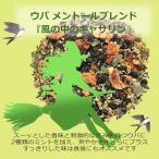 ウバメントールブレンド「風の中の