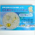 Yahoo! Yahoo!ショッピング(ヤフー ショッピング)化石発掘クリーニングセット　パートIII／新生代編