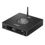 FIIO FIO-K13R2R-B USB DAC встроенный наушники усилитель полный баланс 24bit R2R DAC схема установка Bluetooth соответствует черный 