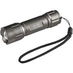 ELPA DOP-EP440 LED aluminium светло-серебристый DOPEP440