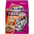 猫缶、ウエットフード