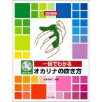  музыкальное сопровождение один глаз . понимать окарина. дуть . person ( модифицировано . новый версия )(DVD есть ) окарина учебник 