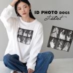 Tシャツ レディース トップス カットソー 長袖カットソー 大きいサイズ ゆったり ロゴ 犬 イヌ 春 証明写真ドッグ BIG ロングTシャツ