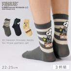 スヌーピー靴下レディース3柄組22...