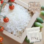   5NY HcY ƂGreen 27kgi5kg~5A2kgj /lC/y27kgz