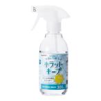ELECOM エレコム クリーナー/液体/除菌/汚れ落とし/フッ素コート 300ml HA-CKKC300(2544461)