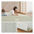 萩原 ハギハラ 洗えるい草風カーペット パスラッシュ 水洗い可 江戸間4.5帖 約261×261cm グリーン 81961545(2582991)