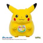 タカラトミー ポケットモンスター ポケモン30周年記念 おかえり