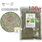 セージ100g ハーブティー お茶 ドラ