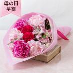 母の日 花 プレゼント ギフト 花束 「芍薬美人」 カーネーション 2024 ピンク 鮮やか 上品な香り 華麗 優雅 美人花 毎年大人気 芍薬 シャクヤク