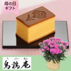 母の日　鉢植えセット「烏鶏庵 烏骨鶏かすていら母の日仕様」 カステラ お菓子 2025 花 宅配 プレゼント ギフト 母 50代 60代 70代 花とスイーツ お菓子