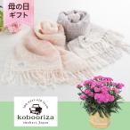 母の日　鉢植えセット「工房織座 カーネーションとパンジーストール」 4号 花鉢 2025 花 宅配 プレゼント ギフト 母 50代 60代 70代