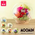 ショッピングプリザーブドフラワー ムーミン MOOMIN プリザーブドフラワー 「フラワードーム ムーミン/スナフキン/リトルミイ/ニョロニョロ/ムーミンパパ/ムーミンママ/ムーミンやしき」