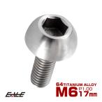 64チタン M6×17mm P=1.00 ブレーキディスク ローター ボルト ホンダ車用 シルバー 原色 JA064