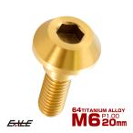 チタンボルト M6×20mm P=1.00 ブレーキディスク ローター ボルト ヤマハ車用 ゴールド JA077