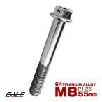 チタンボルト M8×55mm P1.25 六角ボルト 六角穴付き ホールヘッド フランジボルト シルバー JA1798