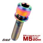 チタンボルト M5 20mm P0.8 キャップボルト 六角穴 ワッシャー付き 虹色 焼きチタン色 JA318