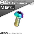 64チタン製 M5 12mm P0.8 トルクス穴付き ボタンボルト 虹色 レインボー チタンボルト JA464