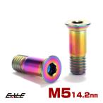 ディレイラープーリー M5×14.2mm チタン ボルト レインボー 自転車 2本セット JA468