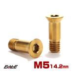 ディレイラープーリー M5×14.2mm チタン ボルト ゴールド 自転車 2本セット JA469