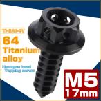  таппинг винт M5×17mm titanium шестиугольник head фланец есть винт черный Hexagon JA607