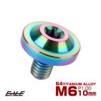 チタンボルト M6×10mm P1.0 ボタンボルト トルクスヘッド フランジ付 カスタムボルト レインボー ライトカラー JA652