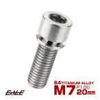 チタンボルト M7×20mm P1.0 ステムボルト キャップボルト 六角穴 ワッシャー付き シルバー チタン原色 JA713
