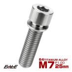 チタンボルト M7×25mm P1.0 ステムボルト キャップボルト 六角穴 ワッシャー付き シルバー チタン原色 JA718