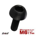ローター ボルト M6×17mm P=1.00 チタン ブレーキディスク ローターボルト ホンダ車用 ブラック JA825