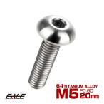 チタンボルト M5×20mm P0.8 ボタンボルト 六角穴 シルバー原色 JA897