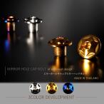 ミラーホールカバー キャップ スターヘッド 2個セット M10×10mm 正ネジ P1.25 SUS304 ステンレス製 ゴールド TH0102