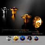 ミラーホールカバー キャップ デザインヘッド 2個セット M10×10mm 正ネジ P1.25 SUS304 ステンレス製 ゴールド TH0125
